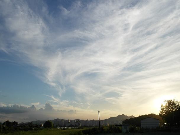 용인 수지구 생각나무치과의원