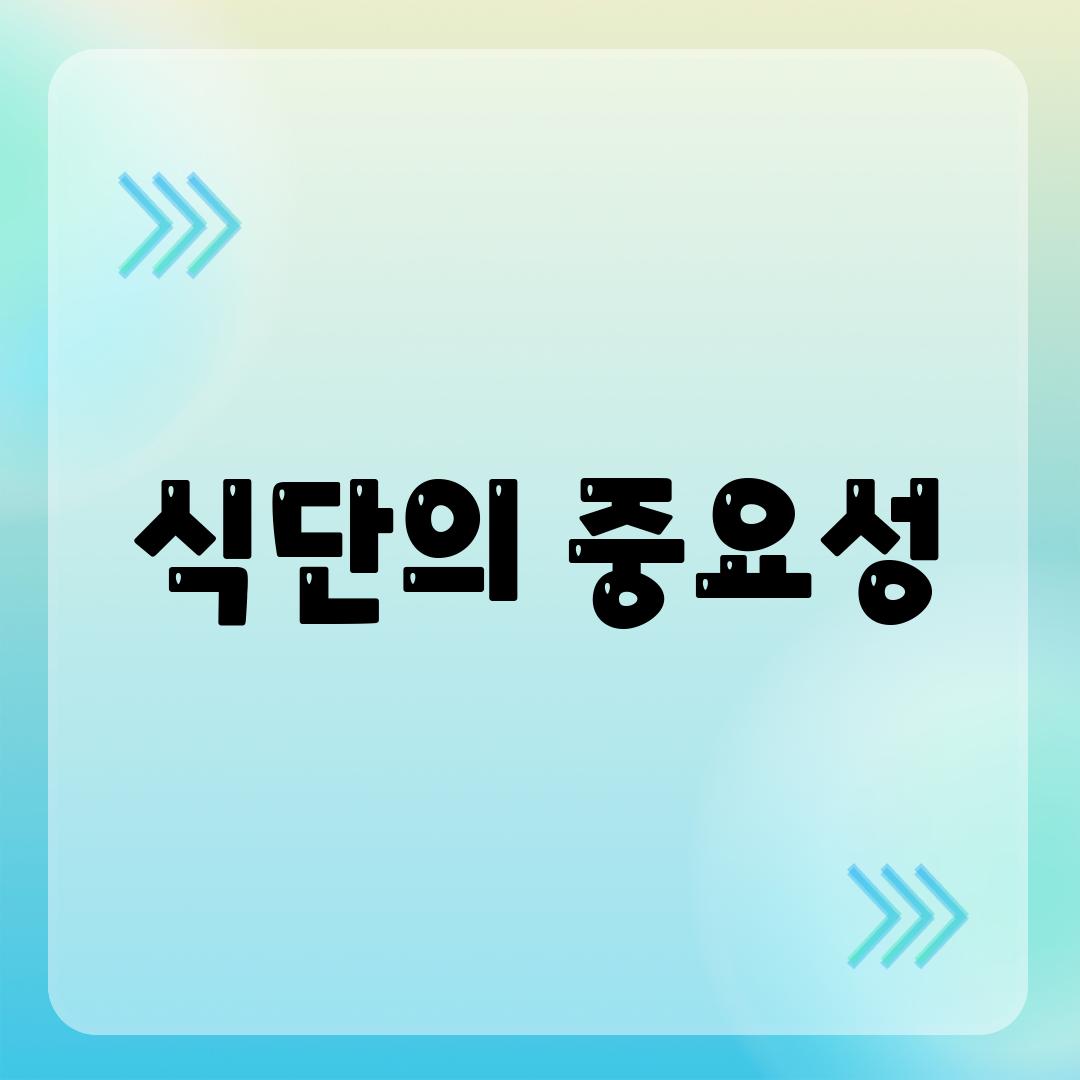 식단의 중요성