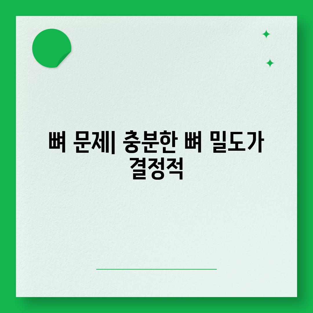 뼈 문제| 충분한 뼈 밀도가 결정적