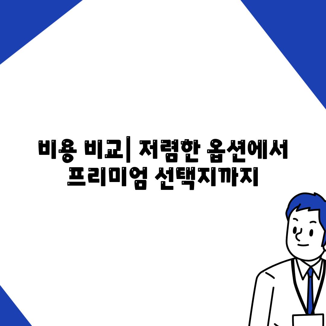 비용 비교| 저렴한 옵션에서 프리미엄 선택지까지