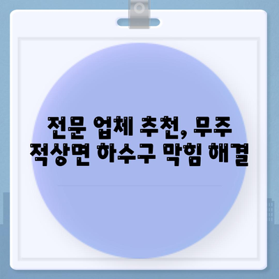 전라북도 무주군 적상면 하수구막힘 | 가격 | 비용 | 기름제거 | 싱크대 | 변기 | 세면대 | 역류 | 냄새차단 | 2024 후기