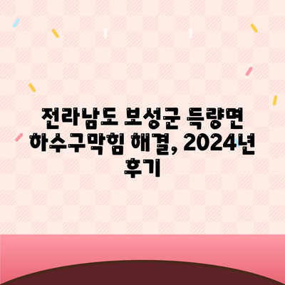 전라남도 보성군 득량면 하수구막힘 | 가격 | 비용 | 기름제거 | 싱크대 | 변기 | 세면대 | 역류 | 냄새차단 | 2024 후기