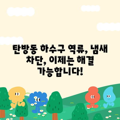 대전시 서구 탄방동 하수구막힘 | 가격 | 비용 | 기름제거 | 싱크대 | 변기 | 세면대 | 역류 | 냄새차단 | 2024 후기