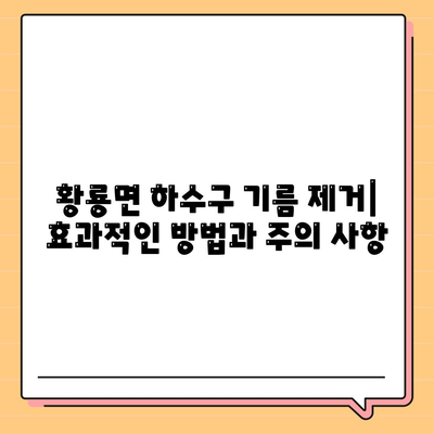 전라남도 장성군 황룡면 하수구막힘 | 가격 | 비용 | 기름제거 | 싱크대 | 변기 | 세면대 | 역류 | 냄새차단 | 2024 후기