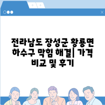 전라남도 장성군 황룡면 하수구막힘 | 가격 | 비용 | 기름제거 | 싱크대 | 변기 | 세면대 | 역류 | 냄새차단 | 2024 후기