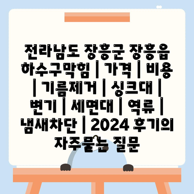 전라남도 장흥군 장흥읍 하수구막힘 | 가격 | 비용 | 기름제거 | 싱크대 | 변기 | 세면대 | 역류 | 냄새차단 | 2024 후기