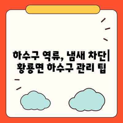 전라남도 장성군 황룡면 하수구막힘 | 가격 | 비용 | 기름제거 | 싱크대 | 변기 | 세면대 | 역류 | 냄새차단 | 2024 후기