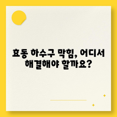 대전시 동구 효동 하수구막힘 | 가격 | 비용 | 기름제거 | 싱크대 | 변기 | 세면대 | 역류 | 냄새차단 | 2024 후기