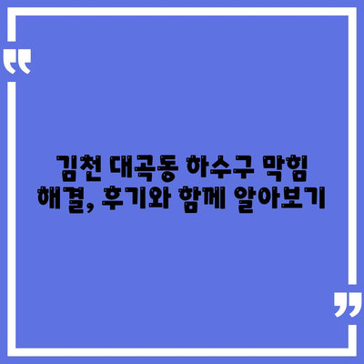 경상북도 김천시 대곡동 하수구막힘 | 가격 | 비용 | 기름제거 | 싱크대 | 변기 | 세면대 | 역류 | 냄새차단 | 2024 후기