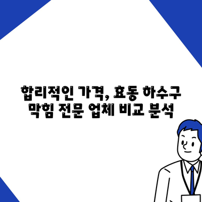 대전시 동구 효동 하수구막힘 | 가격 | 비용 | 기름제거 | 싱크대 | 변기 | 세면대 | 역류 | 냄새차단 | 2024 후기