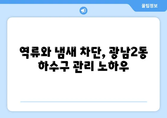 경기도 광주시 광남2동 하수구막힘 | 가격 | 비용 | 기름제거 | 싱크대 | 변기 | 세면대 | 역류 | 냄새차단 | 2024 후기