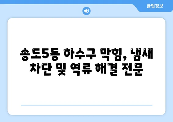 인천시 연수구 송도5동 하수구막힘 | 가격 | 비용 | 기름제거 | 싱크대 | 변기 | 세면대 | 역류 | 냄새차단 | 2024 후기