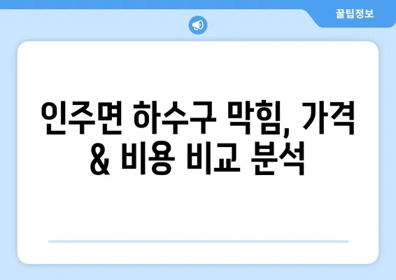 충청남도 아산시 인주면 하수구막힘 | 가격 | 비용 | 기름제거 | 싱크대 | 변기 | 세면대 | 역류 | 냄새차단 | 2024 후기