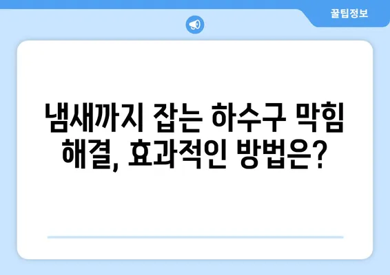광주시 동구 충장동 하수구막힘 | 가격 | 비용 | 기름제거 | 싱크대 | 변기 | 세면대 | 역류 | 냄새차단 | 2024 후기