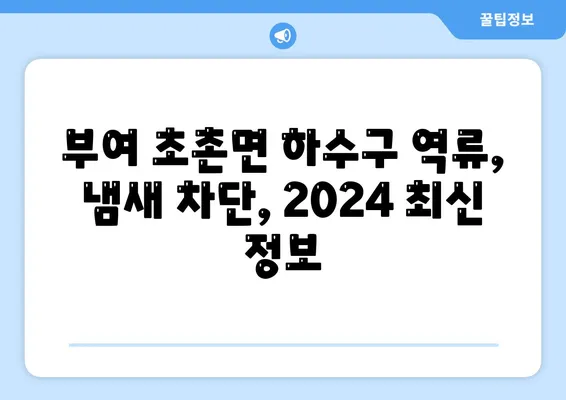 충청남도 부여군 초촌면 하수구막힘 | 가격 | 비용 | 기름제거 | 싱크대 | 변기 | 세면대 | 역류 | 냄새차단 | 2024 후기