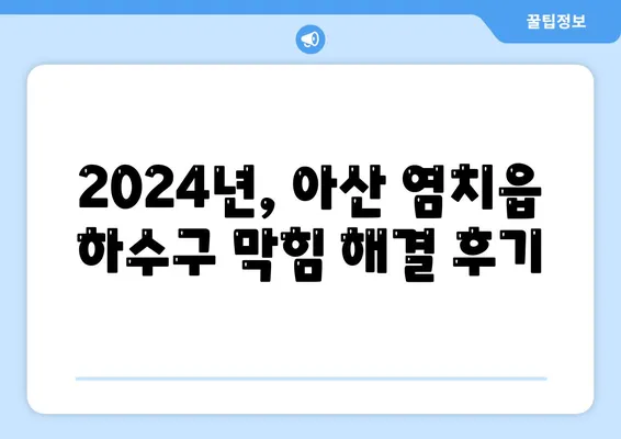 충청남도 아산시 염치읍 하수구막힘 | 가격 | 비용 | 기름제거 | 싱크대 | 변기 | 세면대 | 역류 | 냄새차단 | 2024 후기