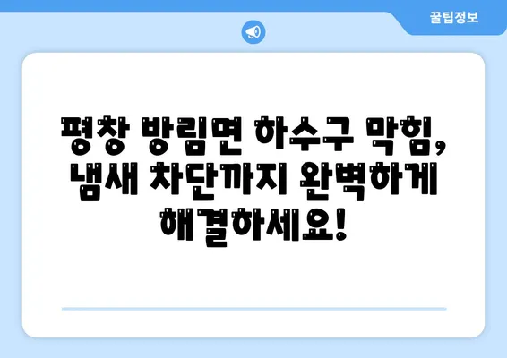 강원도 평창군 방림면 하수구막힘 | 가격 | 비용 | 기름제거 | 싱크대 | 변기 | 세면대 | 역류 | 냄새차단 | 2024 후기