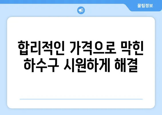 제주도 서귀포시 표선면 하수구막힘 | 가격 | 비용 | 기름제거 | 싱크대 | 변기 | 세면대 | 역류 | 냄새차단 | 2024 후기