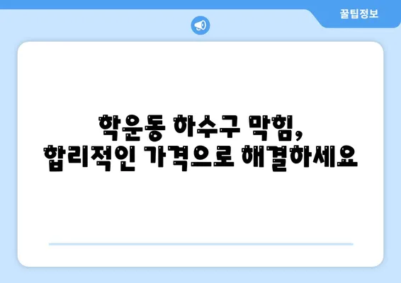 광주시 동구 학운동 하수구막힘 | 가격 | 비용 | 기름제거 | 싱크대 | 변기 | 세면대 | 역류 | 냄새차단 | 2024 후기