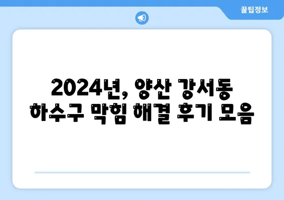 경상남도 양산시 강서동 하수구막힘 | 가격 | 비용 | 기름제거 | 싱크대 | 변기 | 세면대 | 역류 | 냄새차단 | 2024 후기