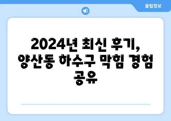 광주시 북구 양산동 하수구막힘 | 가격 | 비용 | 기름제거 | 싱크대 | 변기 | 세면대 | 역류 | 냄새차단 | 2024 후기