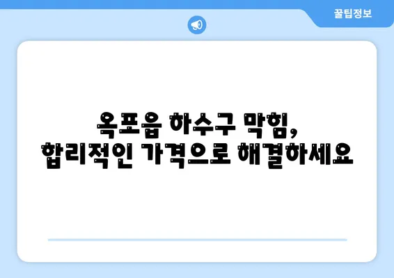 대구시 달성군 옥포읍 하수구막힘 | 가격 | 비용 | 기름제거 | 싱크대 | 변기 | 세면대 | 역류 | 냄새차단 | 2024 후기