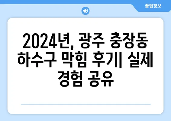 광주시 동구 충장동 하수구막힘 | 가격 | 비용 | 기름제거 | 싱크대 | 변기 | 세면대 | 역류 | 냄새차단 | 2024 후기