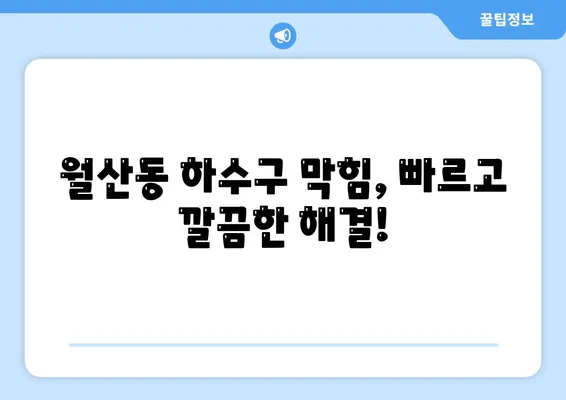 광주시 남구 월산동 하수구막힘 | 가격 | 비용 | 기름제거 | 싱크대 | 변기 | 세면대 | 역류 | 냄새차단 | 2024 후기