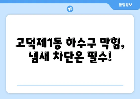 서울시 강동구 고덕제1동 하수구막힘 | 가격 | 비용 | 기름제거 | 싱크대 | 변기 | 세면대 | 역류 | 냄새차단 | 2024 후기