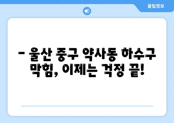 울산시 중구 약사동 하수구막힘 | 가격 | 비용 | 기름제거 | 싱크대 | 변기 | 세면대 | 역류 | 냄새차단 | 2024 후기