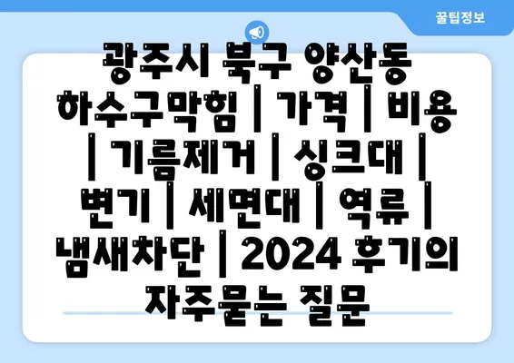 광주시 북구 양산동 하수구막힘 | 가격 | 비용 | 기름제거 | 싱크대 | 변기 | 세면대 | 역류 | 냄새차단 | 2024 후기