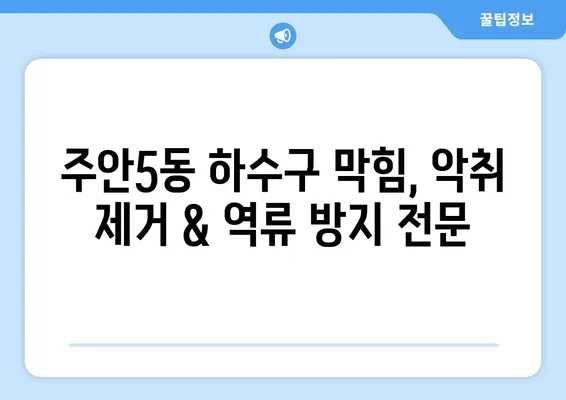 인천시 미추홀구 주안5동 하수구막힘 | 가격 | 비용 | 기름제거 | 싱크대 | 변기 | 세면대 | 역류 | 냄새차단 | 2024 후기