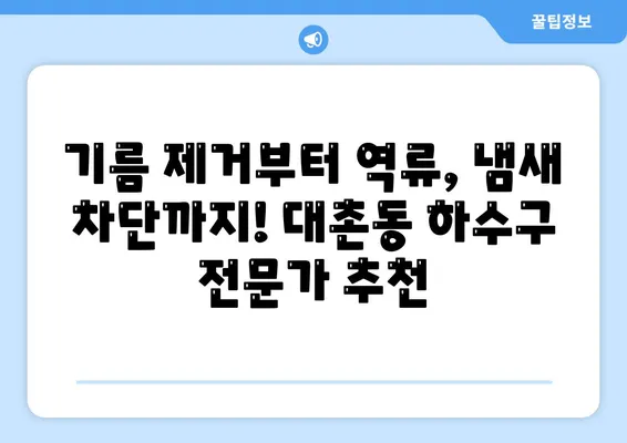 광주시 남구 대촌동 하수구막힘 | 가격 | 비용 | 기름제거 | 싱크대 | 변기 | 세면대 | 역류 | 냄새차단 | 2024 후기