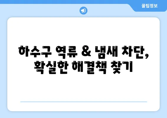 제주도 서귀포시 동홍동 하수구막힘 | 가격 | 비용 | 기름제거 | 싱크대 | 변기 | 세면대 | 역류 | 냄새차단 | 2024 후기