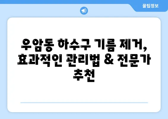 부산시 남구 우암동 하수구막힘 | 가격 | 비용 | 기름제거 | 싱크대 | 변기 | 세면대 | 역류 | 냄새차단 | 2024 후기