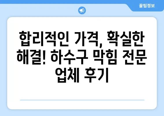 경기도 김포시 장기본동 하수구막힘 | 가격 | 비용 | 기름제거 | 싱크대 | 변기 | 세면대 | 역류 | 냄새차단 | 2024 후기