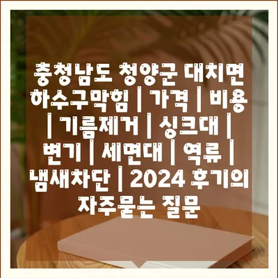 충청남도 청양군 대치면 하수구막힘 | 가격 | 비용 | 기름제거 | 싱크대 | 변기 | 세면대 | 역류 | 냄새차단 | 2024 후기