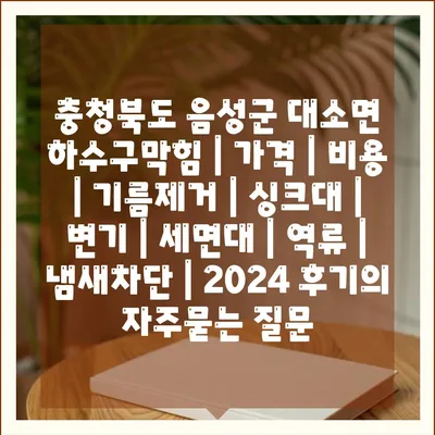 충청북도 음성군 대소면 하수구막힘 | 가격 | 비용 | 기름제거 | 싱크대 | 변기 | 세면대 | 역류 | 냄새차단 | 2024 후기