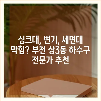 경기도 부천시 상3동 하수구막힘 | 가격 | 비용 | 기름제거 | 싱크대 | 변기 | 세면대 | 역류 | 냄새차단 | 2024 후기