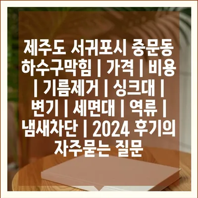 제주도 서귀포시 중문동 하수구막힘 | 가격 | 비용 | 기름제거 | 싱크대 | 변기 | 세면대 | 역류 | 냄새차단 | 2024 후기