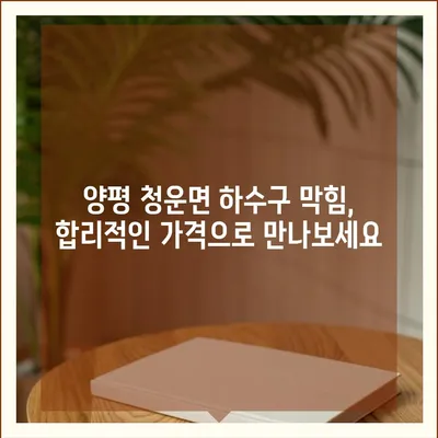 경기도 양평군 청운면 하수구막힘 | 가격 | 비용 | 기름제거 | 싱크대 | 변기 | 세면대 | 역류 | 냄새차단 | 2024 후기