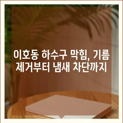 제주도 제주시 이호동 하수구막힘 | 가격 | 비용 | 기름제거 | 싱크대 | 변기 | 세면대 | 역류 | 냄새차단 | 2024 후기