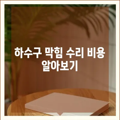 제주도 서귀포시 중문동 하수구막힘 | 가격 | 비용 | 기름제거 | 싱크대 | 변기 | 세면대 | 역류 | 냄새차단 | 2024 후기