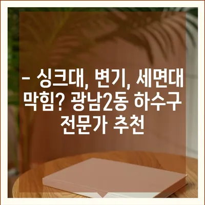 경기도 광주시 광남2동 하수구막힘 | 가격 | 비용 | 기름제거 | 싱크대 | 변기 | 세면대 | 역류 | 냄새차단 | 2024 후기