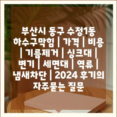 부산시 동구 수정1동 하수구막힘 | 가격 | 비용 | 기름제거 | 싱크대 | 변기 | 세면대 | 역류 | 냄새차단 | 2024 후기