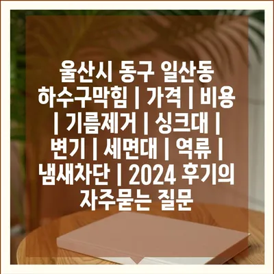 울산시 동구 일산동 하수구막힘 | 가격 | 비용 | 기름제거 | 싱크대 | 변기 | 세면대 | 역류 | 냄새차단 | 2024 후기