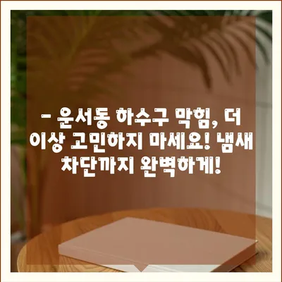 인천시 중구 운서동 하수구막힘 | 가격 | 비용 | 기름제거 | 싱크대 | 변기 | 세면대 | 역류 | 냄새차단 | 2024 후기