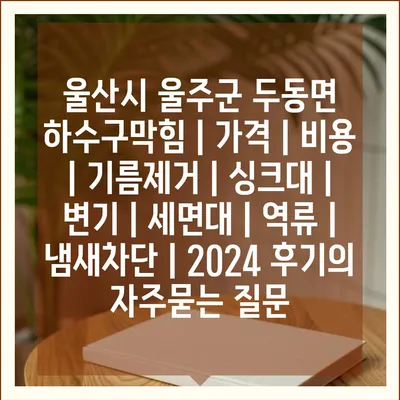 울산시 울주군 두동면 하수구막힘 | 가격 | 비용 | 기름제거 | 싱크대 | 변기 | 세면대 | 역류 | 냄새차단 | 2024 후기