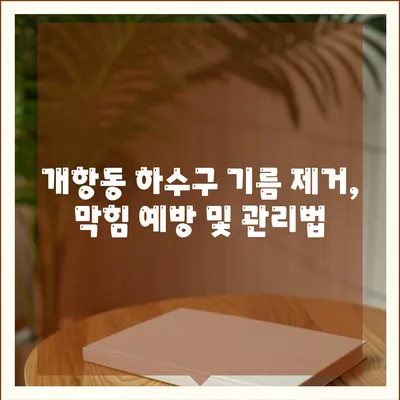 인천시 중구 개항동 하수구막힘 | 가격 | 비용 | 기름제거 | 싱크대 | 변기 | 세면대 | 역류 | 냄새차단 | 2024 후기