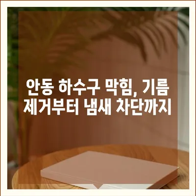 경상북도 안동시 안기동 하수구막힘 | 가격 | 비용 | 기름제거 | 싱크대 | 변기 | 세면대 | 역류 | 냄새차단 | 2024 후기